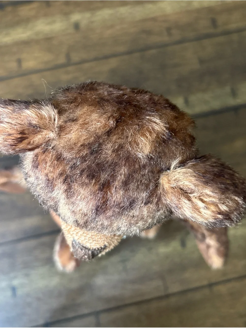 Source Unknown Brown Plush Teddy Bear with Heart Pendant